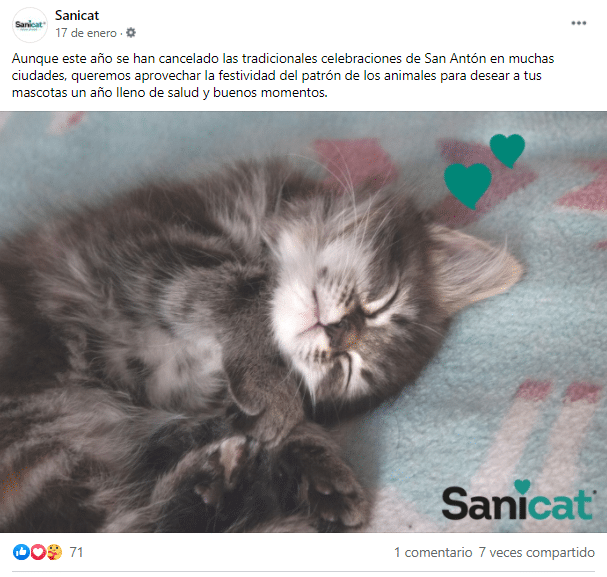 Spanish social media marketing copy for Sanicat Spain