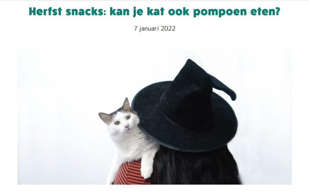 Creative translation for Sanicat blog posts