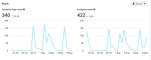 Example of Facebook and Instagram insights