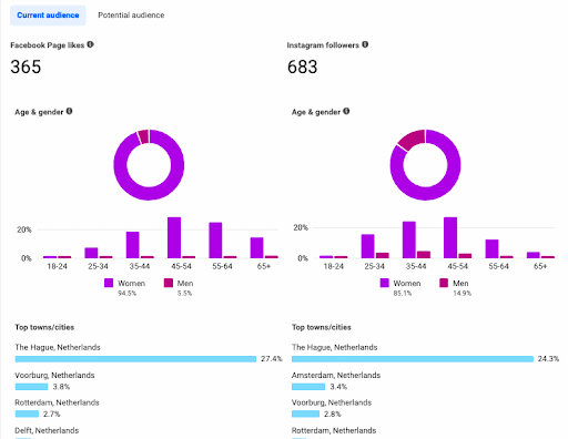 Facebook and Instagram audience insights