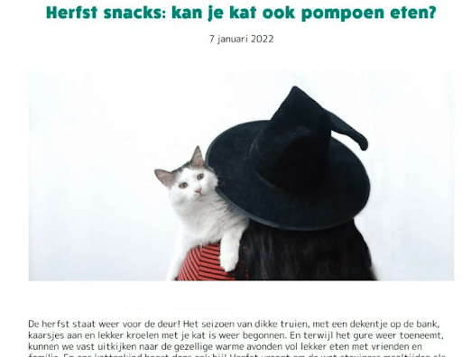 An example of multilingual content writing from SaniCat Netherlands