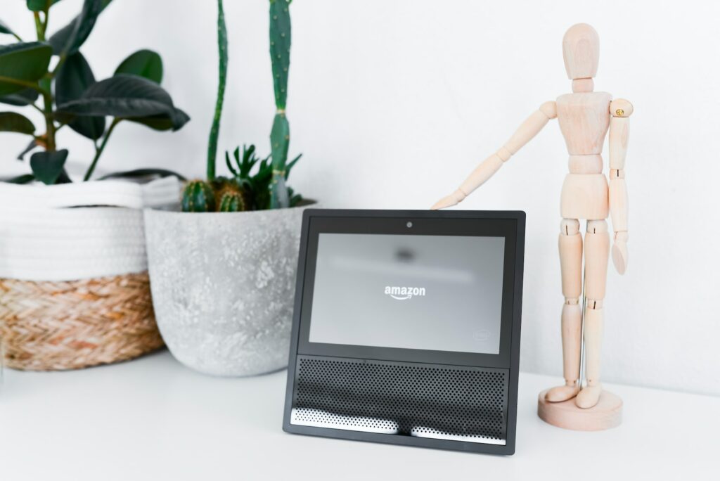 An Amazon voice search device next to a pot plant