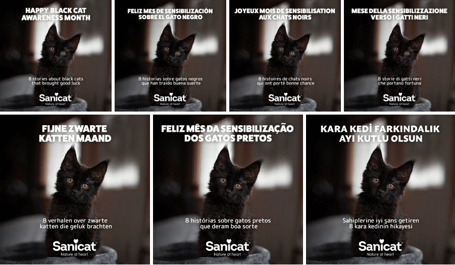 Black Cat Awareness Multilingual Marketing Campaign