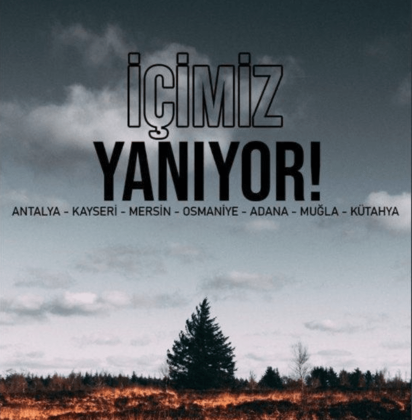 A timely post about the wildfires in Turkey that VeraContent created for LivU's Turkish Instagram page.