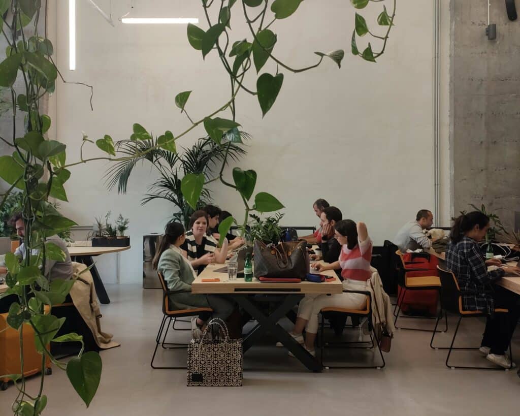 VeraContent multicultural marketing team
