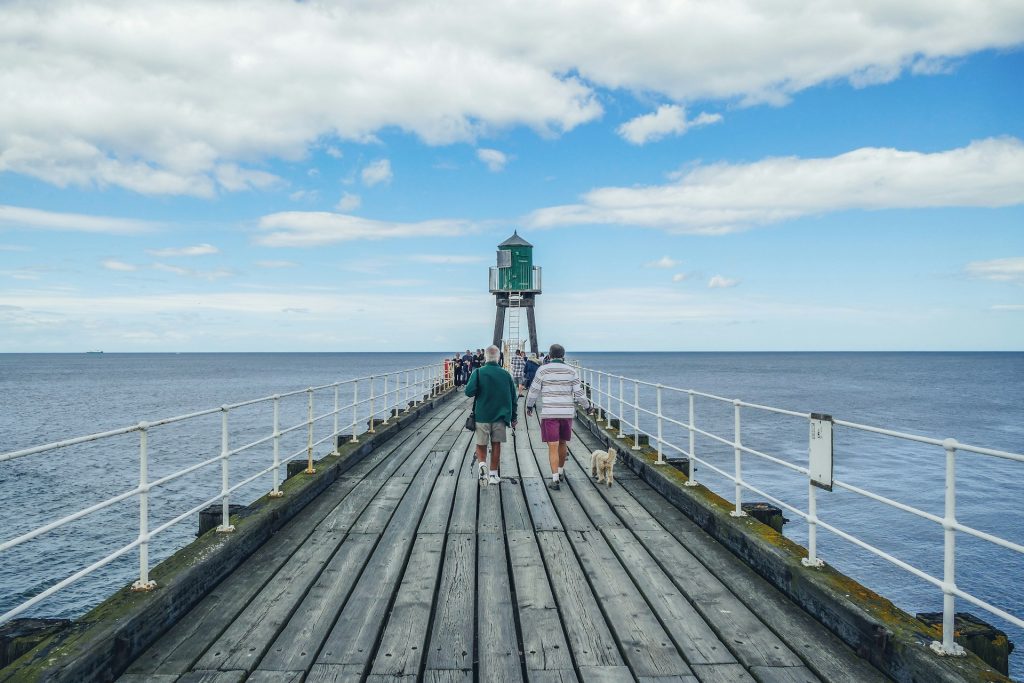 person walking on wooden dock during faytime
