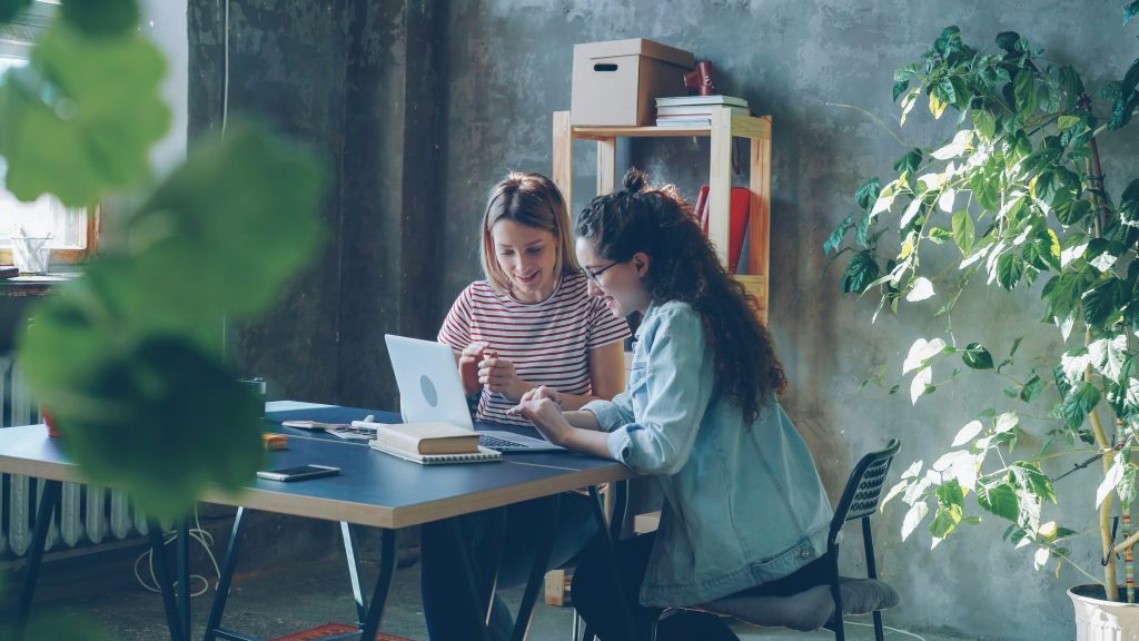 Young female business partners are working with laptop and talking